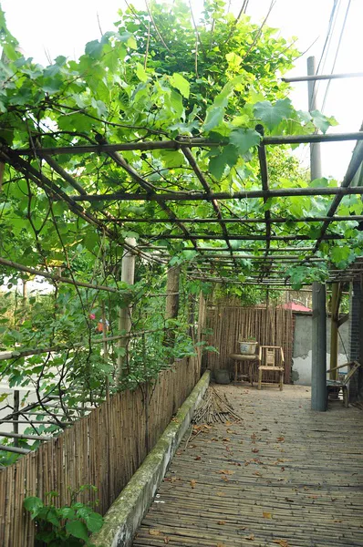 CHUNYOU 2013