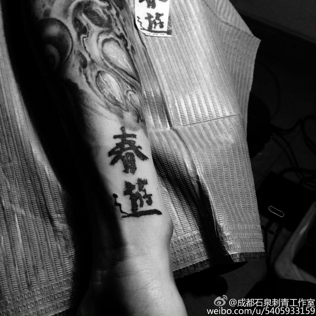 CHUNYOU 2015
